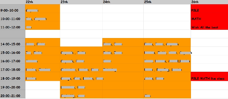 Consultation Slots-3.jpg