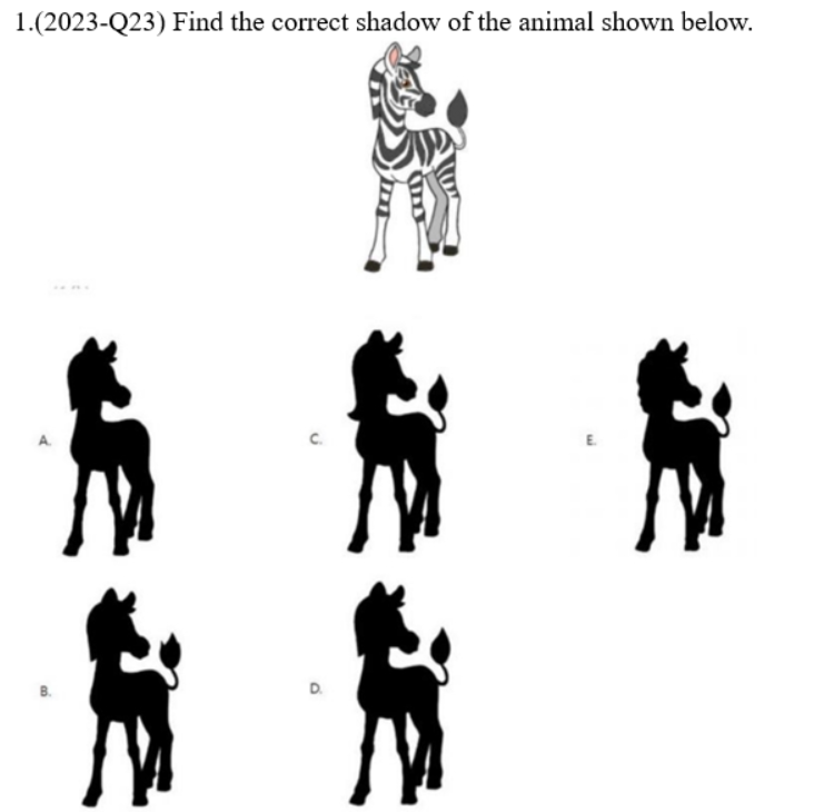 Screenshot 2026-02-21 190528.png